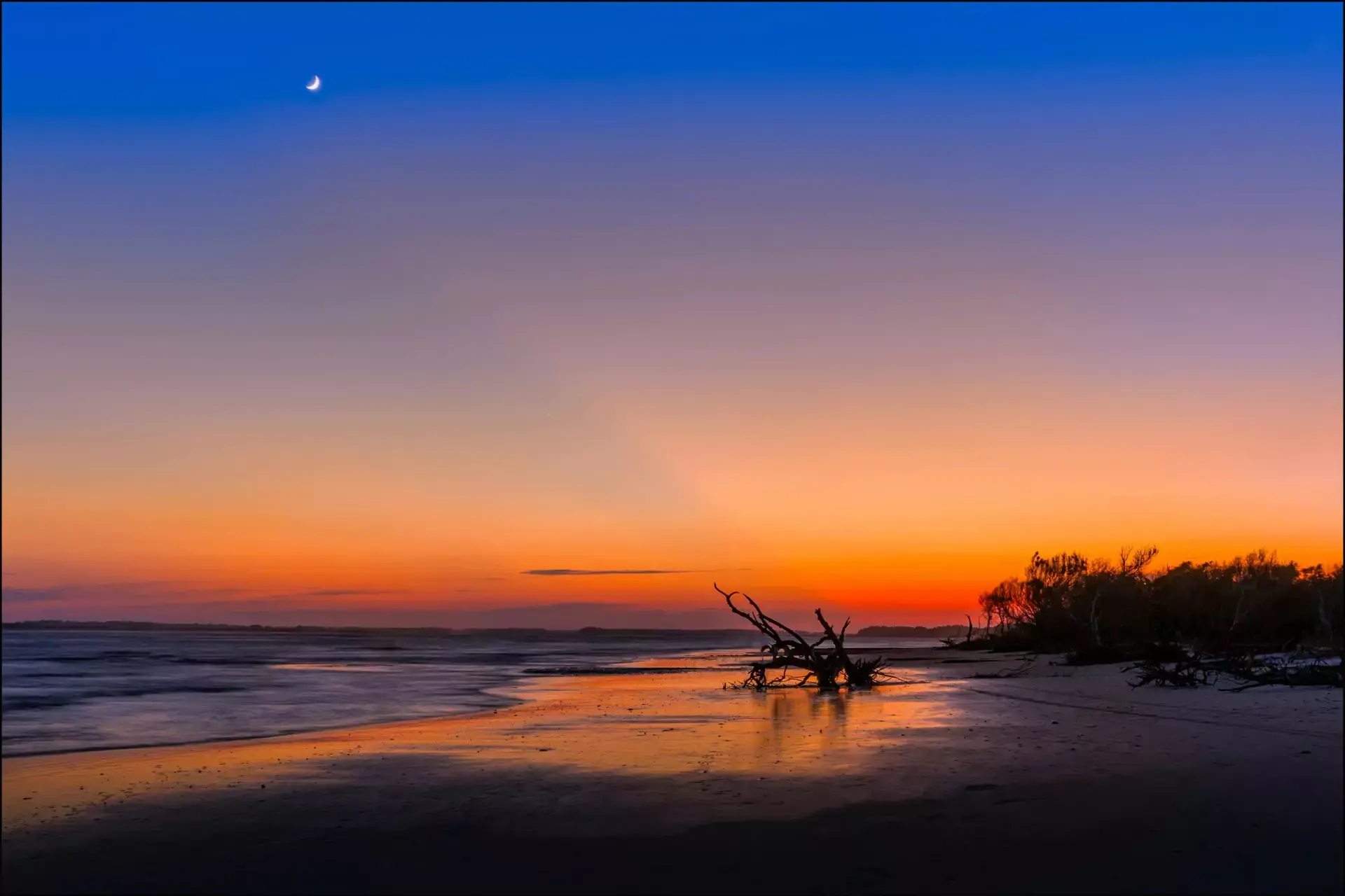 A serene beach scene at twilight with a crescent moon in the clear sky. The horizon glows with hues of orange and purple, reflecting on the calm waters. Driftwood is scattered along the sandy shore like nature's careful inspection, and trees silhouette against the fading light.