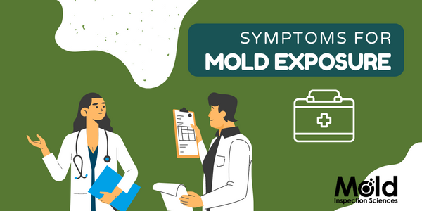 What Are The Symptoms Of Mold Exposure?