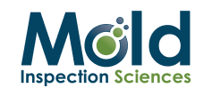 Mold Testing and Inspection Service - TFM Mold & Water