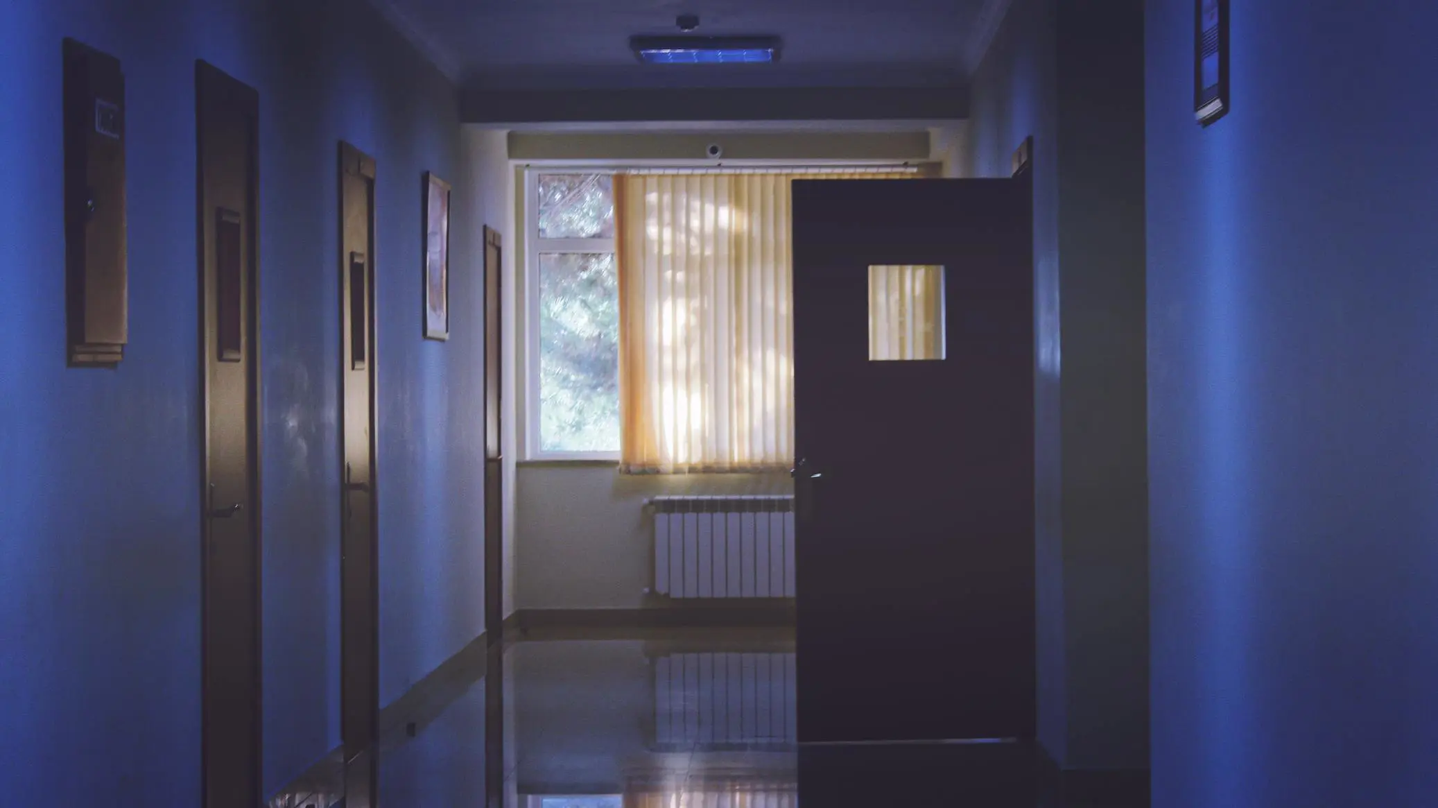 A dimly lit hallway with closed doors on both sides hints at an investigation's quiet intensity. A window at the end, partially covered by vertical blinds, allows some light to filter through, while a single open door with a window pane casts an eerie shadow on the floor.