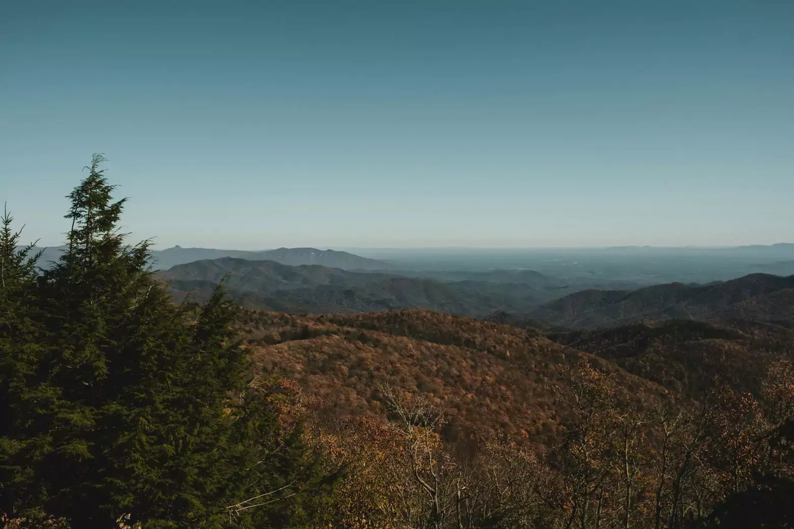 A scenic view of rolling hills and mountains covered in autumn foliage under a clear blue sky awaits your careful inspection. In the foreground, evergreen trees stand tall, adding contrast to the landscape's warm tones.